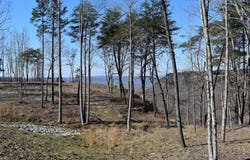 0 Pine Knot Pass, Jasper, TN 37347
