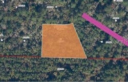 121 CORBINA WAY W, FLORAHOME, FL 32140