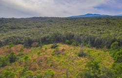 59 Upper Maulua, Papaaloa, HI 96780