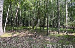 TBD E H, Iron Mountain, MI 49801