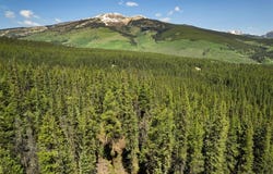 5350 Wildcat Trail, Crested Butte, CO 81224
