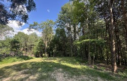 Cole Hollow Rd, New Tazewell, TN 37825
