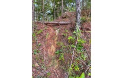 0 AL HWY 278, Guin, AL 35563