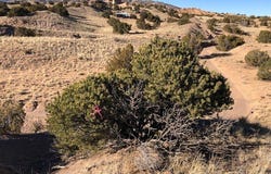 Block 45 lot: 37,38,39, Medanales, NM 87548