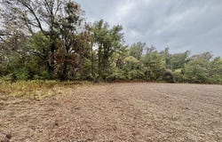 Youngblood Road, Dundee, MS 38626