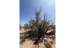 8580 Lawson Lane, Snowflake, AZ 85937
