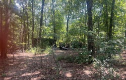 00 Wayne 505, Greenville, MO 63944