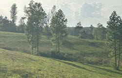 0 Needmore Road - (345.37 acres), Roopville, GA 30170
