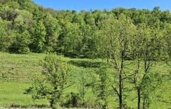 40 Acre Lot Walnut Lane, Richland Center, WI 53581