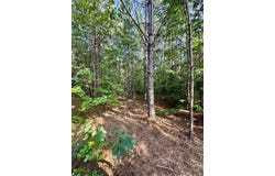 250 Mobley Crossing, Hodges, AL 35571