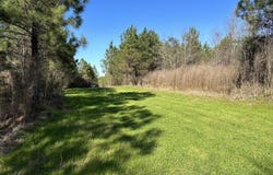 0 Co Rd 96, Millport, AL 35576