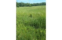 Lot 3 165th Avenue, Stanley, WI 54768