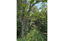 Tbd Haverkamp Road, Hibbing, MN 55746