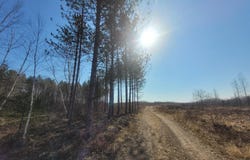 Near KNOWLES RD, Loretta, WI 54896