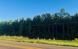 3122 State Hwy 184, Hemphill, TX 75948