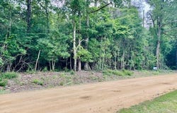 Jordon Grove Rd, Dozier, AL 36028