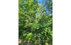 4 Whitewood Circle, Edgemont, AR 72044