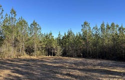 Straw Bridge Rd lot: 59, Jay, FL 32565