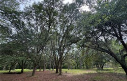 Tbd NW 67TH BOULEVARD, ALACHUA, FL 32615