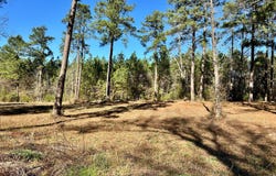 0 Rabbit Run Road, Many, LA 71449