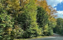 40 Bliven Rd, Otis, MA 01253