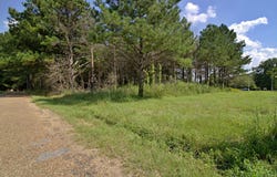 Blacktop Rd, Prentiss, MS 39474
