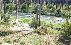3931 Coffee Creek Rd, Coffee Creek, CA 96091