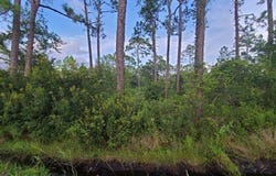 3648 SR 30-A, Port St. Joe, FL 32456