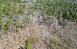 Pleasant Plains, AR 72568