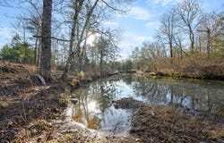 16 Blue Bunting Road, Smithville, OK 74957