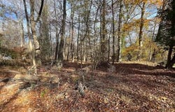 13 WHITE BIRCH TRAIL, MEDFORD, NJ 08055