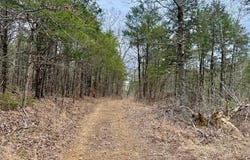 Buck Ridge Lane, Williford, AR 72482