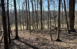 TBD DUET ROAD, MADISON, VA 22727