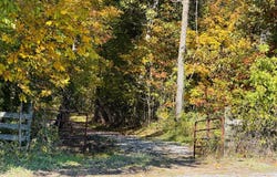 001 Olmsted Rd, Villa Ridge, IL 62996
