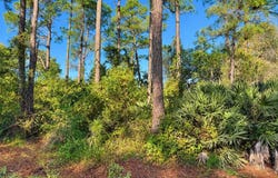 10TH AVE, DELAND, FL 32724