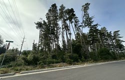 HIGHWAY 101, Florence, OR 97439