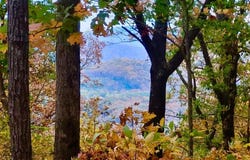 43.91 Old Burnt Mountain Road, Ellijay, GA 30540