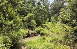 962 FM 256, Woodville, TX 75979