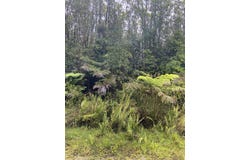 ROAD 4, Volcano, HI 96785