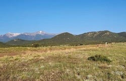 TBD L Reed Rd, Cotopaxi, CO 81223