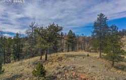 397 Chateau West Drive, Florissant, CO 80816