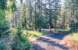 5110 Hwy 95, New Meadows, ID 83654