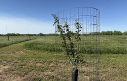 TBD Lot 2 Wild West Place, Belle Fourche, SD 57717