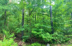 72 Eagle Pine Ln, Broken Bow, OK 74728