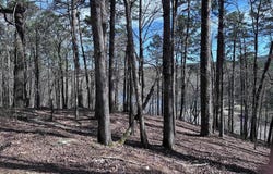 Hot Springs Village, AR 71909
