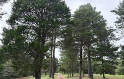 596 Herron TRL, McDade, TX 78650