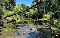 Ray King Rd., Judsonia, AR 72081