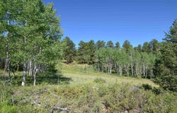 1309 Aspen Drive, Ridgway, CO 81432