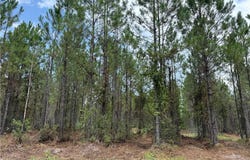 0 (lot 5) Corbitt Road, Manor, GA 31550