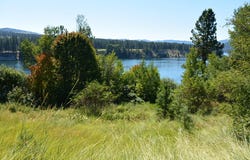 2356 NORTHPORT FLAT CREEK RD, KETTLE FALLS, WA 99141